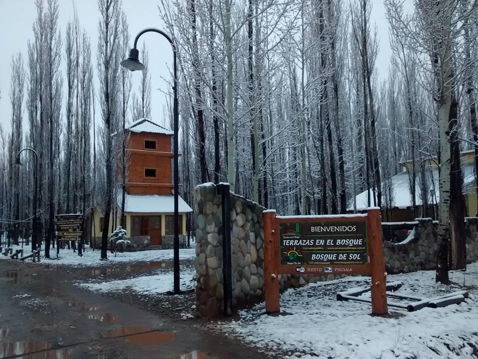 Terrazas En El Bosque Cabanas Malargüe エクステリア 写真